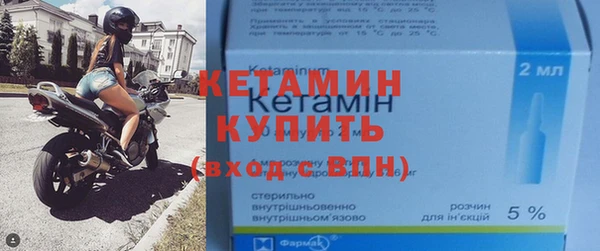 индика Новодвинск