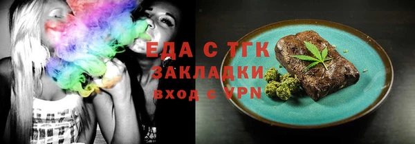 индика Новодвинск