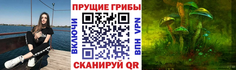 Псилоцибиновые грибы Psilocybe  мега ссылка  Советский 